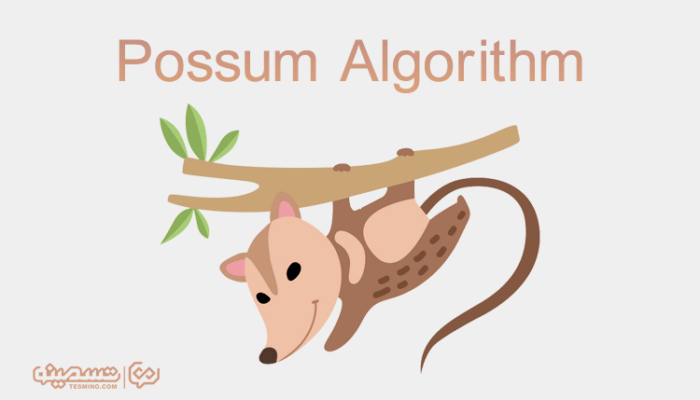 الگوریتم موش کور گوگل – معرفی الگوریتم Possum