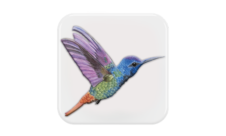 الگوریتم مرغ مگس خوار چیست-Google Hummingbird